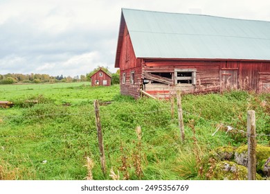 bo88体育直播平台:精彩赛事尽在掌握