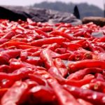 网络赌现金信誉平台的监管合规与行业自律发展路径 5clpu