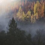 网络赌博网的兴起与其对社会的影响分析 ciqarro1gk