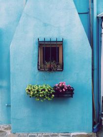 BTV1北京卫视高清在线直播观看入口