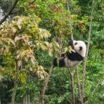 网上赌博对心理健康的影响:警惕成瘾的危害与对策 n14zuhy9