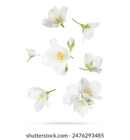 BS1直播精彩赛事全程高能不容错过