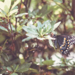 《今日说法》直播现场:直击今日法治热点追踪 9gt195zb5