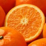 《中国好声音》独家直播锁定浙江卫视 uztlm8l